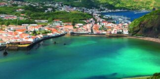 CMH apoia projeto “Porto Pim para todos” DR