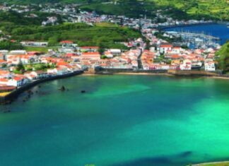 CMH apoia projeto “Porto Pim para todos” DR
