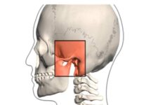 A Fisioterapia e a Osteopatia na ATM Articulação Temporomandibular (articulação da boca) DR