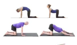 Click Saúde & Bem Estar- A Mobilidade Articular na Performance Desportiva DR
