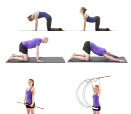 Click Saúde & Bem Estar- A Mobilidade Articular na Performance Desportiva DR