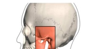 A Fisioterapia e a Osteopatia na ATM Articulação Temporomandibular (articulação da boca) DR