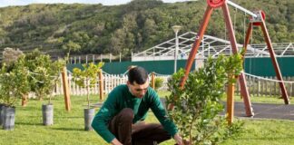 Açores celebraram Dia Mundial da Terra com plantação de árvores em todas as ilhas DR
