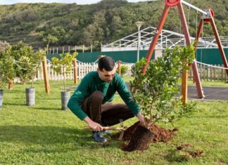 Açores celebraram Dia Mundial da Terra com plantação de árvores em todas as ilhas DR
