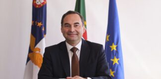 Bem-estar animal é prioridade do Governo Regional, afiança António Ventura DR