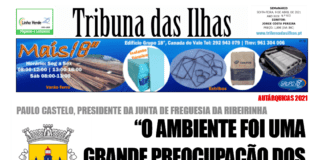 Capa da edição n.º 972 de 09 Abril 2021 TI