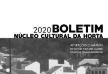 Livros- Editado Boletim do Núcleo Cultural da Horta 2020 DR