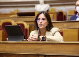 União Europeia deve aproveitar potencial das Regiões ultraperiféricas, defende Lara Martinho DR