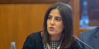 Lara Martinho defende cooperação internacional entre o AIR Centre e Centro de Excelência da NATO DR