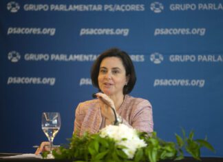 “Apoiar as empresas, mas garantir a salvaguarda do emprego” deveria continuar a ser a prioridade do Plano e Orçamento para 2021, alerta Ana Luísa Luís DR/PS