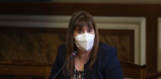 Agricultura. Ilídia Quadrado defende mais apoios para os Açores em tempo de pandemia DR/PSD