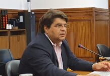 Grandes Opções para 2021-2025 contemplam medidas concretas para a agricultura, florestas e mar, considera João Castro DR