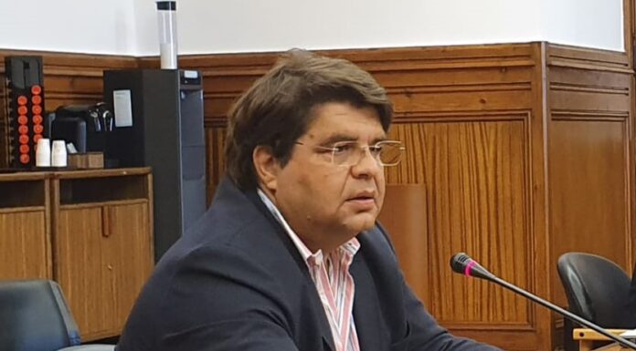 João Castro questionou sobre quotas de pesca para 2023 DR