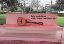 Associação de Juventude Viola da Terra procura música original com a Viola da Terra DR