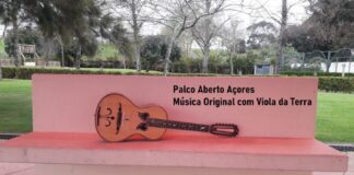 Associação de Juventude Viola da Terra procura música original com a Viola da Terra DR