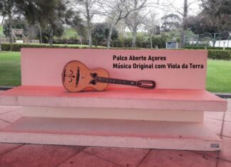 Associação de Juventude Viola da Terra procura música original com a Viola da Terra DR