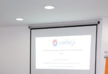 SINTAP-Sucesso nas propostas para regularização e integração de trabalhadores TI