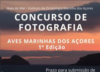 Asas do Mar assinala o primeiro aniversário com concurso de fotografia DR