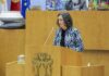 Sofia Ribeiro prioriza o primeiro ciclo de Ensino Básico DR