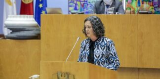 Sofia Ribeiro prioriza o primeiro ciclo de Ensino Básico DR