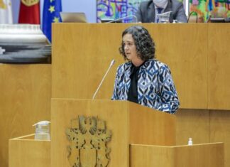Sofia Ribeiro prioriza o primeiro ciclo de Ensino Básico DR