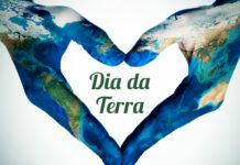 Governo dos Açores celebra Dia Mundial da Terra com ação de sensibilização em todas as Escolas DR