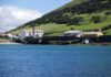Parque Natural do Faial promove tarde científica DR