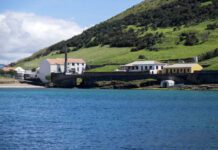 Parque Natural do Faial promove tarde científica DR