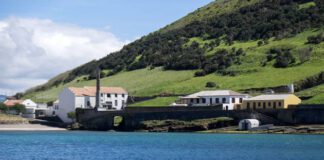 Parque Natural do Faial promove tarde científica DR
