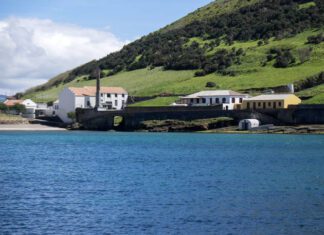Parque Natural do Faial promove tarde científica DR