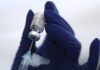 Açores recebem novo fornecimento de vacinas contra a COVID-19 na segunda-feira DR