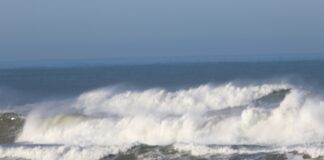 Presidente do Governo adianta que quadro jurídico para Áreas Marinhas Protegidas dos Açores está pronto DR