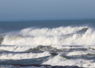 Presidente do Governo adianta que quadro jurídico para Áreas Marinhas Protegidas dos Açores está pronto DR