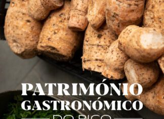 Madalena Quer Fazer da Gastronomia Picoense Um Ícone de Referência Regional DR