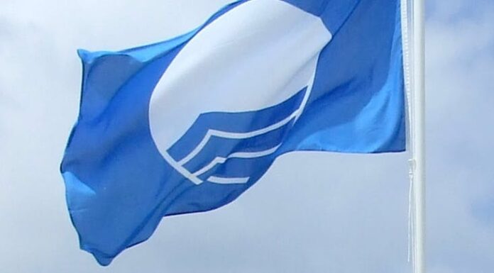 Época balnear no Faial começa entre 15 de junho e 1 de julho DR