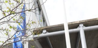 EBI da Horta é uma “escola embaixadora” no que diz respeito às questões ambientais DR