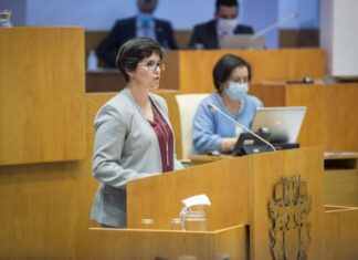 Santa Maria. Elisa Sousa questiona governo sobre a zona envolvente do Aeroporto