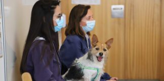 Alunos sensibilizados com o bem-estar animal DR/CMSRP