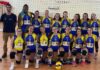 Voleibol – Atlético volta a perder em casa DR