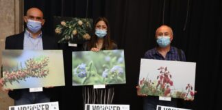 CONCURSO DE FOTOGRAFIA – “Descobre as endémicas” assinala Dia Mundial do Ambiente