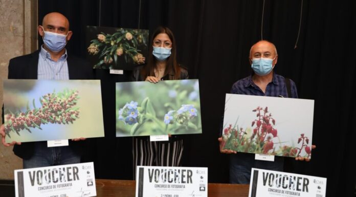 CONCURSO DE FOTOGRAFIA – “Descobre as endémicas” assinala Dia Mundial do Ambiente
