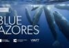 Blue Azores reforça compromisso de utilização sustentável do mar da Região