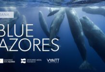 Blue Azores reforça compromisso de utilização sustentável do mar da Região