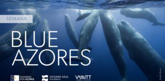 Blue Azores reforça compromisso de utilização sustentável do mar da Região