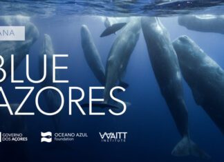 Blue Azores reforça compromisso de utilização sustentável do mar da Região