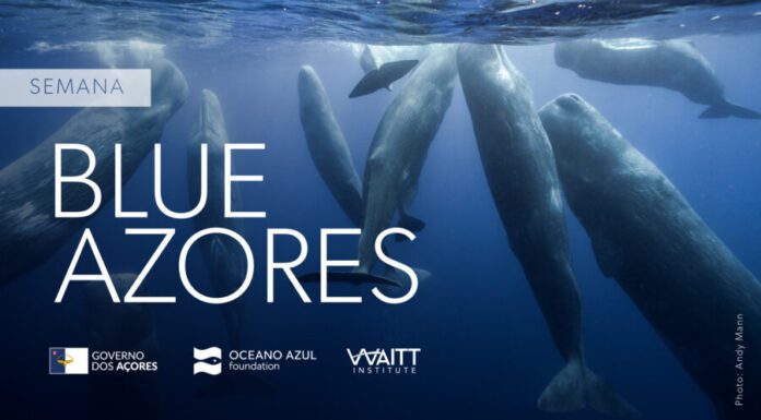 Blue Azores reforça compromisso de utilização sustentável do mar da Região