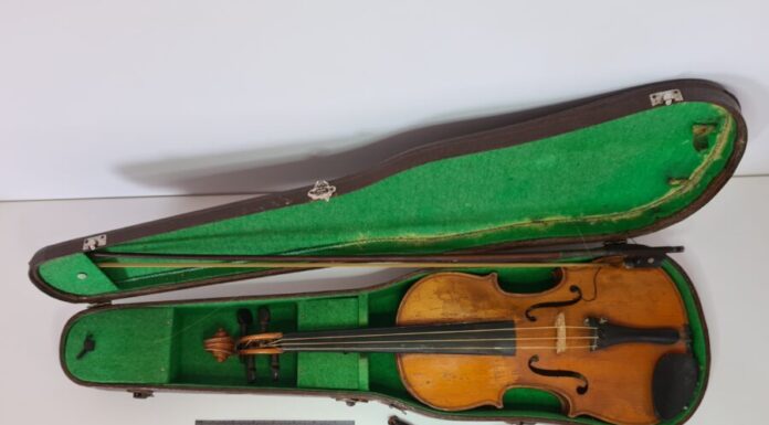 Violino de Simaria entregue ao Museu da Horta