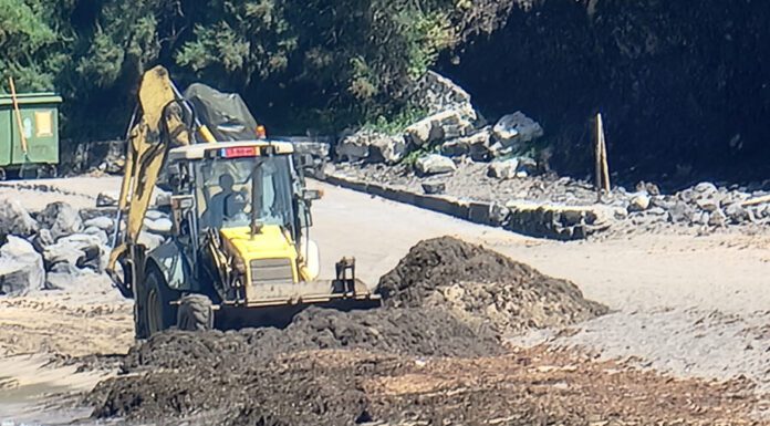 Governo Regional avança com operação de limpeza na Praia de Porto Pim
