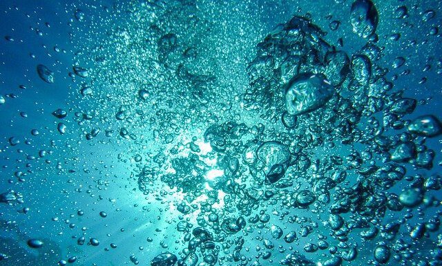 Governo Regional financia projeto de bioeconomia azul Ocean