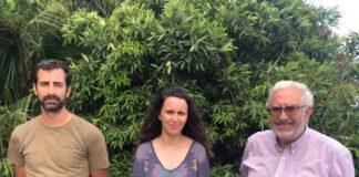 Bloco de Esquerda – Aurora Ribeiro defende criação de Plano Estratégico Municipal para o Turismo no Faial